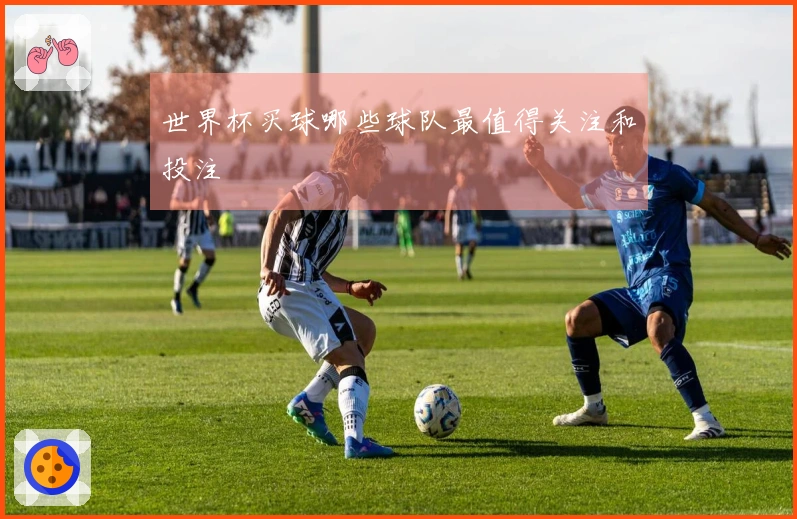 世界杯买球哪些球队最值得关注和投注