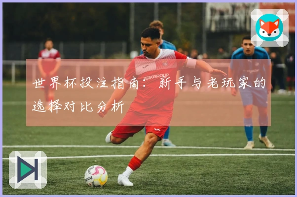 世界杯投注指南：新手与老玩家的选择对比分析