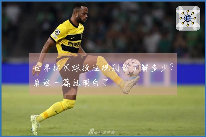 世界杯买球投注规则你了解多少？看这一篇就明白了