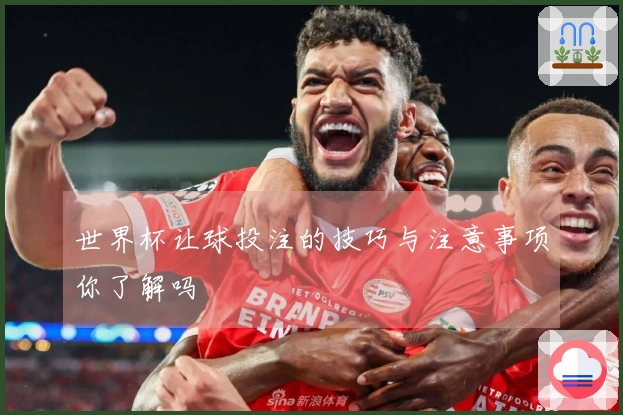 世界杯让球投注的技巧与注意事项你了解吗
