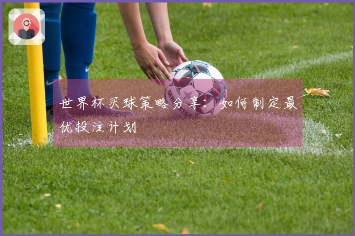 世界杯买球策略分享：如何制定最优投注计划